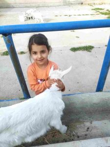 تماس با مزرعه مروگل عکس 1